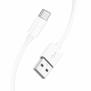 Câble de charge USB-C vers USB 2m