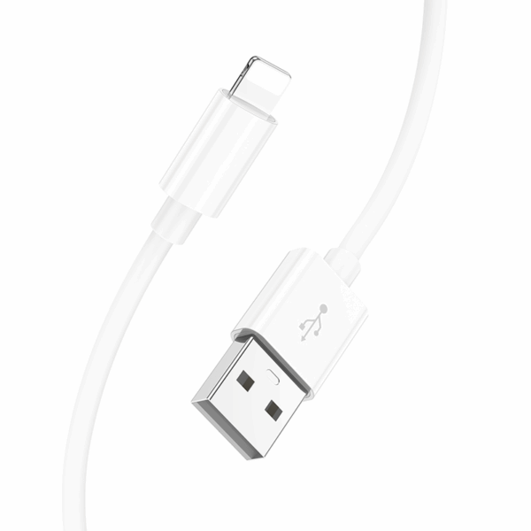 Câble de charge Lightning vers USB 2m