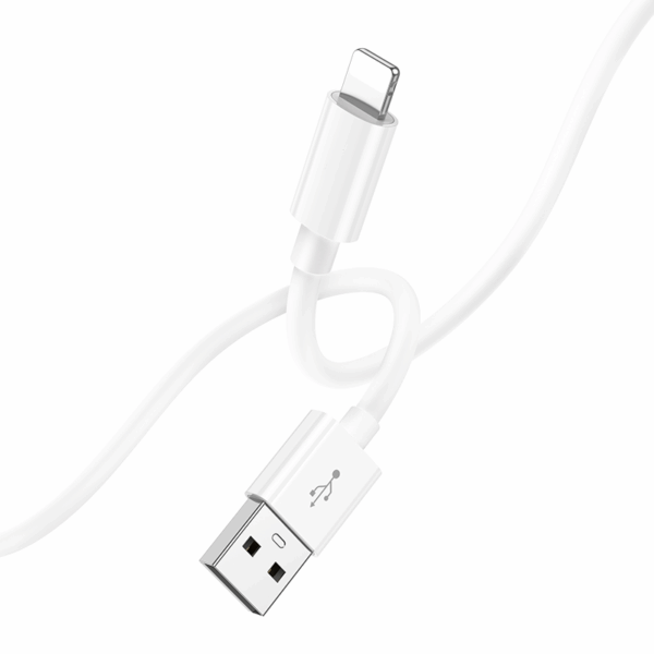 Câble de charge Lightning vers USB 2m