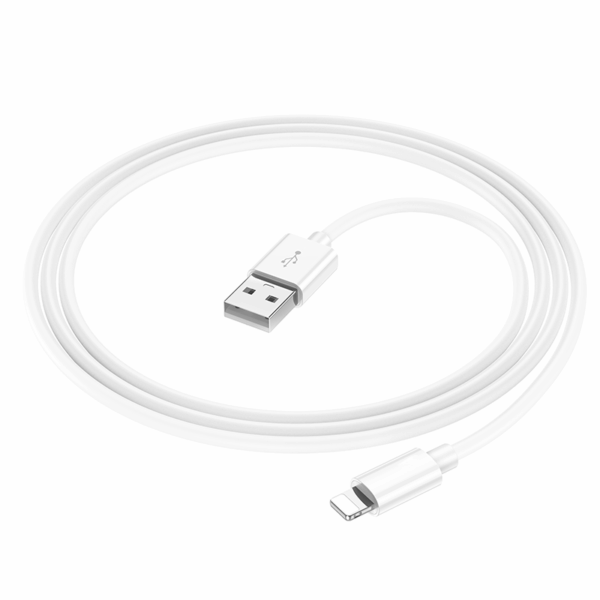Câble de charge Lightning vers USB 2m