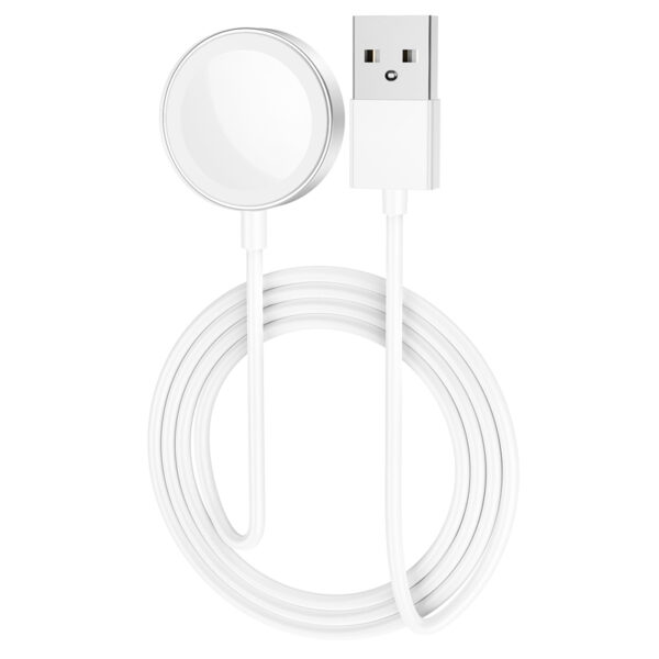Câble magnétique vers USB pour Apple Watch 1m