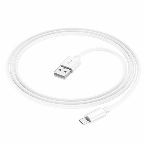 Câble de charge Micro USB vers USB 2m