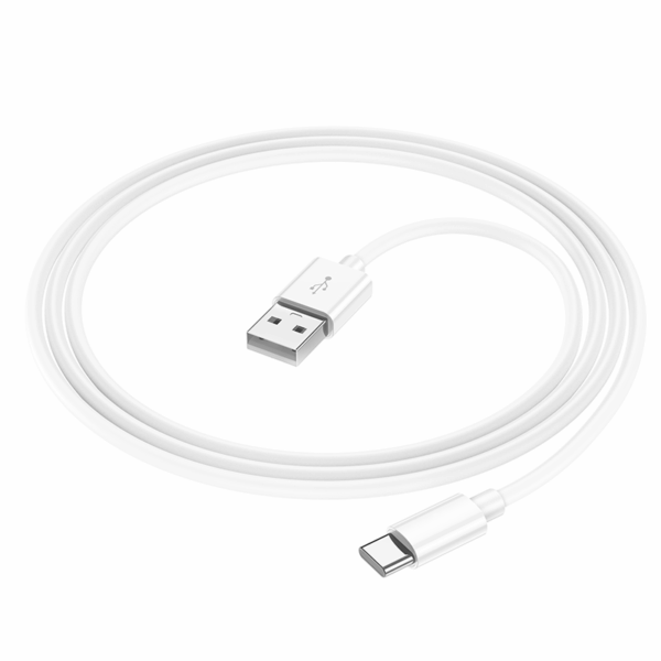 Câble de charge USB-C vers USB 1m