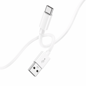 Câble de charge USB-C vers USB 1m